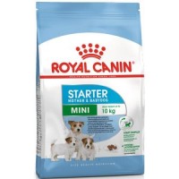 Royal Canin Мини Стартер для щенков мелких пород до 2-х месяцев, беременных и кормящих 1кг
