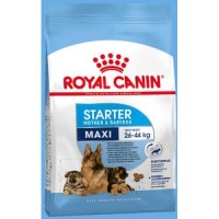 Royal Canin Макси Стартер для щенков крупных пород до 2-х месяцев, беременных и кормящих 4кг